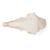 Hausschafschädel (Ovis aries), weiblich, Präparat, 1021028 [T300181f], Paarhufer (Artiodactyla) (Small)