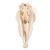 Cranio di pecora (Ovis aries), femmina, preparato, 1021028 [T300181f], Artiodàttili (Artiodactyla) (Small)