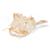 Catfish Skull, 1020965 [T30030], Balık (Small)