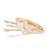 鲶鱼头，标本(Silurus glanis), 1020965 [T30030], 鱼类 (Small)