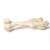 Бедренная кость млекопитающего, 1021065 [T30066], Кости и скелеты животных (Small)