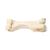 Huesos de cuartos delanteros de mamíferos, 1021066 [T30067], Osteología (Small)