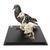 Pigeon et squelette de pigeon (Columba livia domestica), sous couvercle de protection transparent, modèles prêparês, 1021040 [T310051], Ornithologie (étude des oiseaux) (Small)