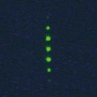 Laser Diode for Debye-Sears Effect, Green, 1002579 [U10009], Components Debye-Sears (Small)