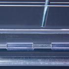 Experiment Set &ldquo;Conduction of Impulses to Nerve Fibres&rdquo;, 1000538 [U11120], Nervous System Models (Small)