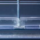 Experiment Set &ldquo;Conduction of Impulses to Nerve Fibres&rdquo;, 1000538 [U11120], Nervous System Models (Small)