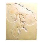 Archaeopteryx lithographica, Replikat, 1018509 [U75005], Fossilien