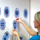 Mitosis Interactive STICKYchart&trade;, V12049SI, Cell Genetics (Small)
