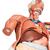 Life-Size Human Male Muscular Figure, 37 part - 3B Smart Anatomy, 1001235 [VA01], Muscle Models (Small)