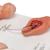 Vajúdási stádiumok modellje - 3B Smart Anatomy, 1001259 [VG393], Terhességi modellek (Small)