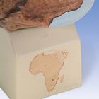 Replica Homo rhodesiensis Skull (Broken Hill Woodward, 1921), 1001297 [VP754/1], Anthropology (Small)