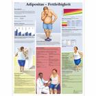 Adipositas - Fettleibigkeit, 1001396 [VR0460L], Tossicodipendenza
