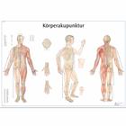 Koerperakupuntur, 4006649 [VR0820UU], Acupuncture Charts and Models