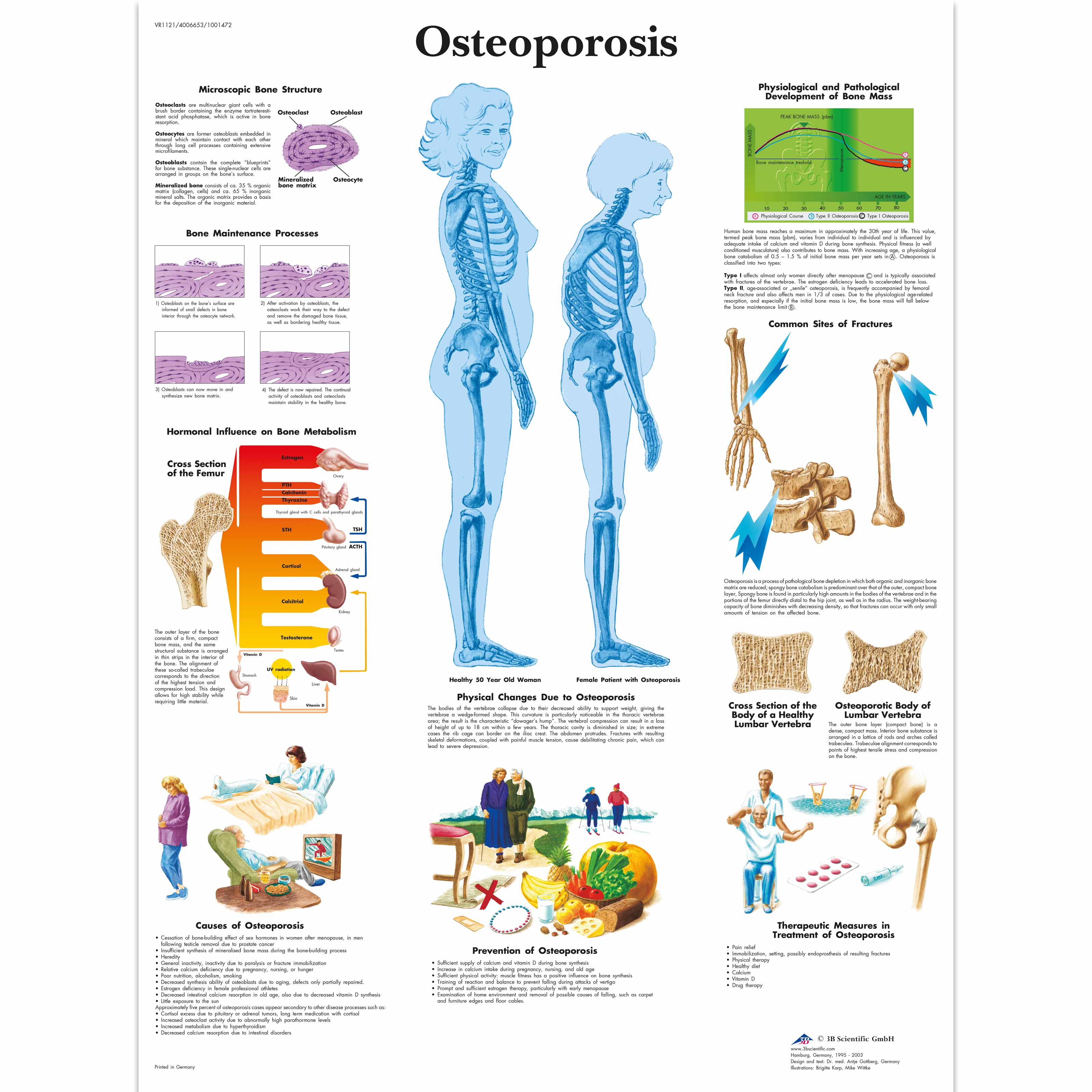 Biology Charts And Posters