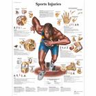 Sports Injuries Chart, 1001494 [VR1188L], Muscle