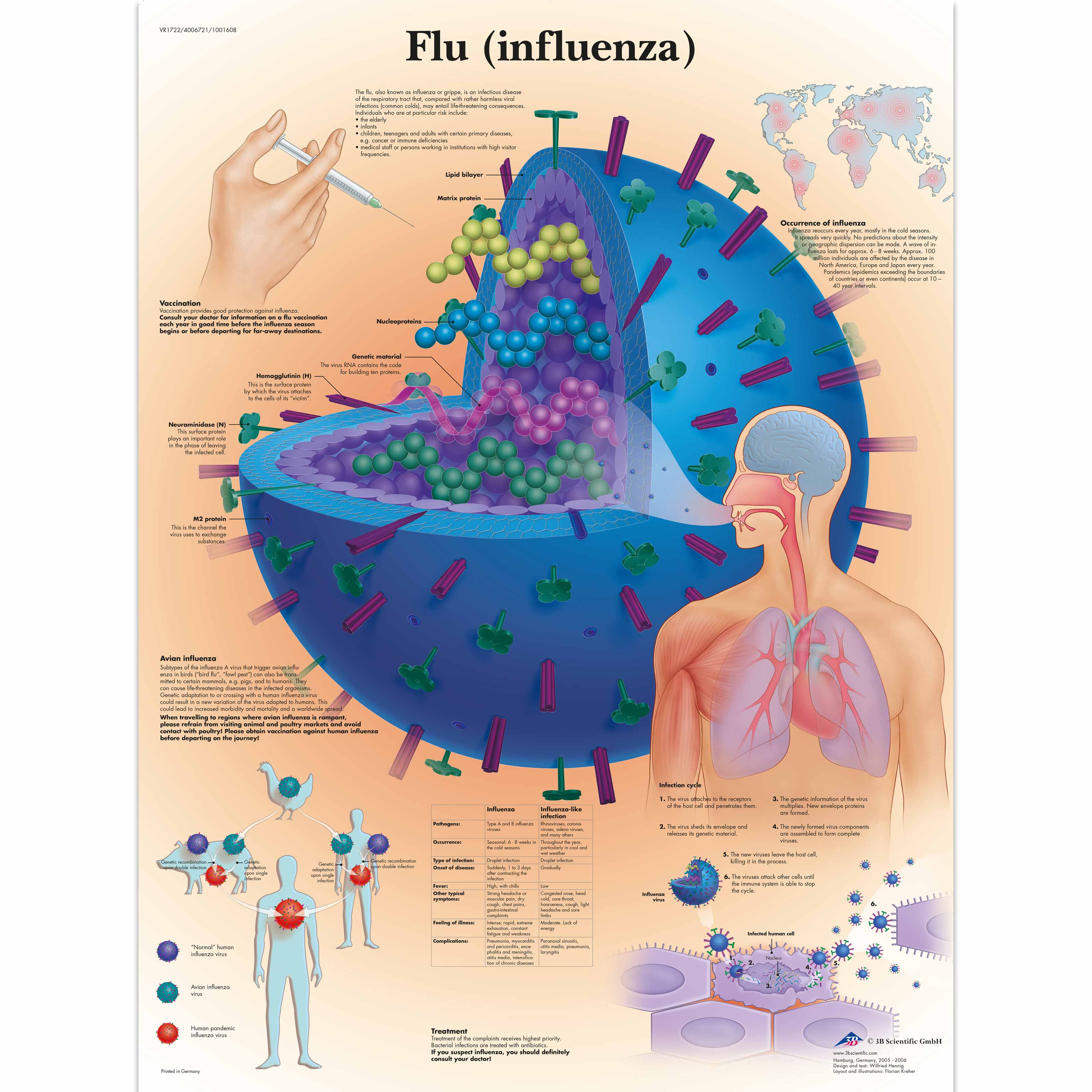influena varicoza