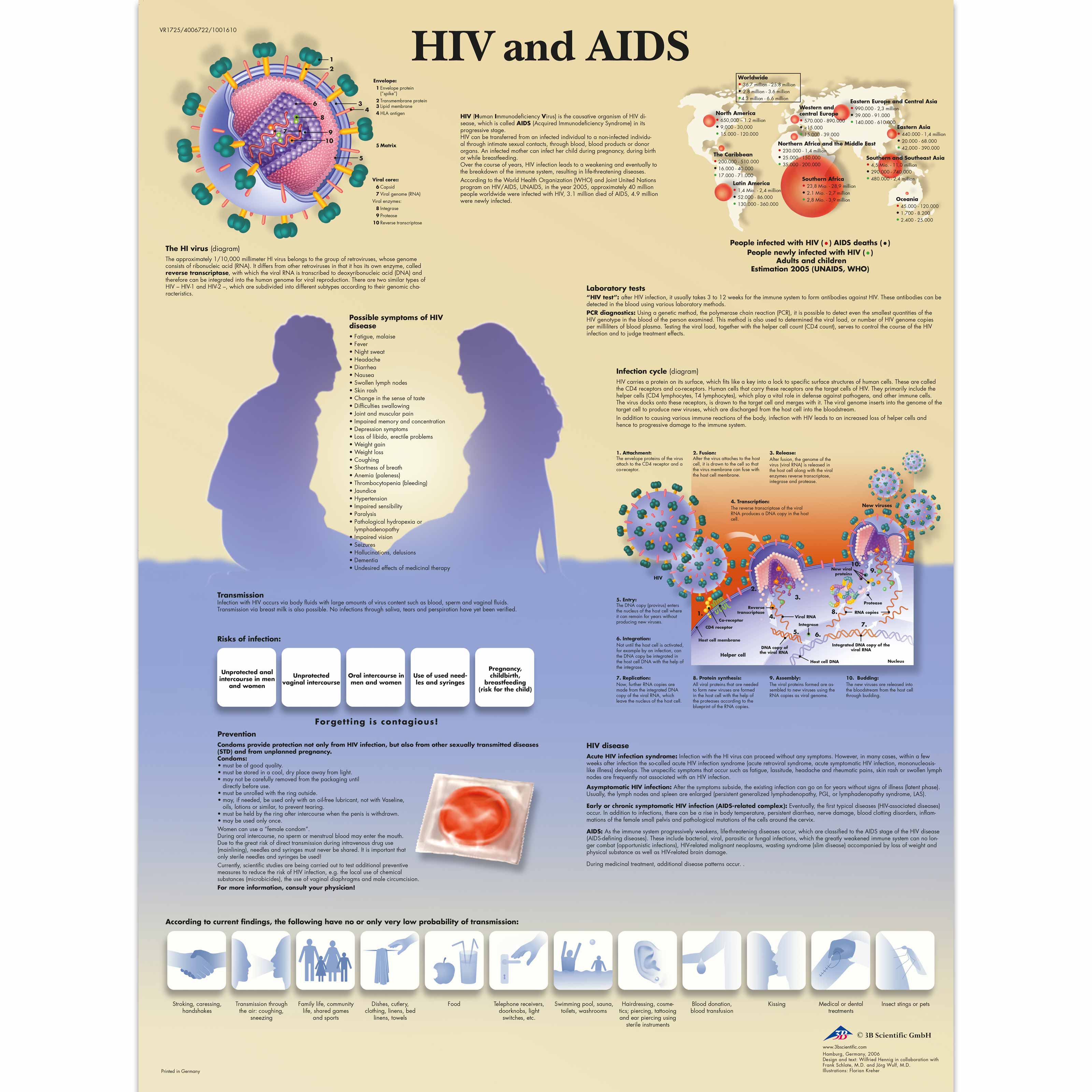 HIV and AIDS Chart - 1001610 - 3B Scientific - VR1725L - Condom Training  Models - Sex Education - Contraceptive Models - Contraceptive Education -  STD Prevention - Reproductive Education - Prenatal Education