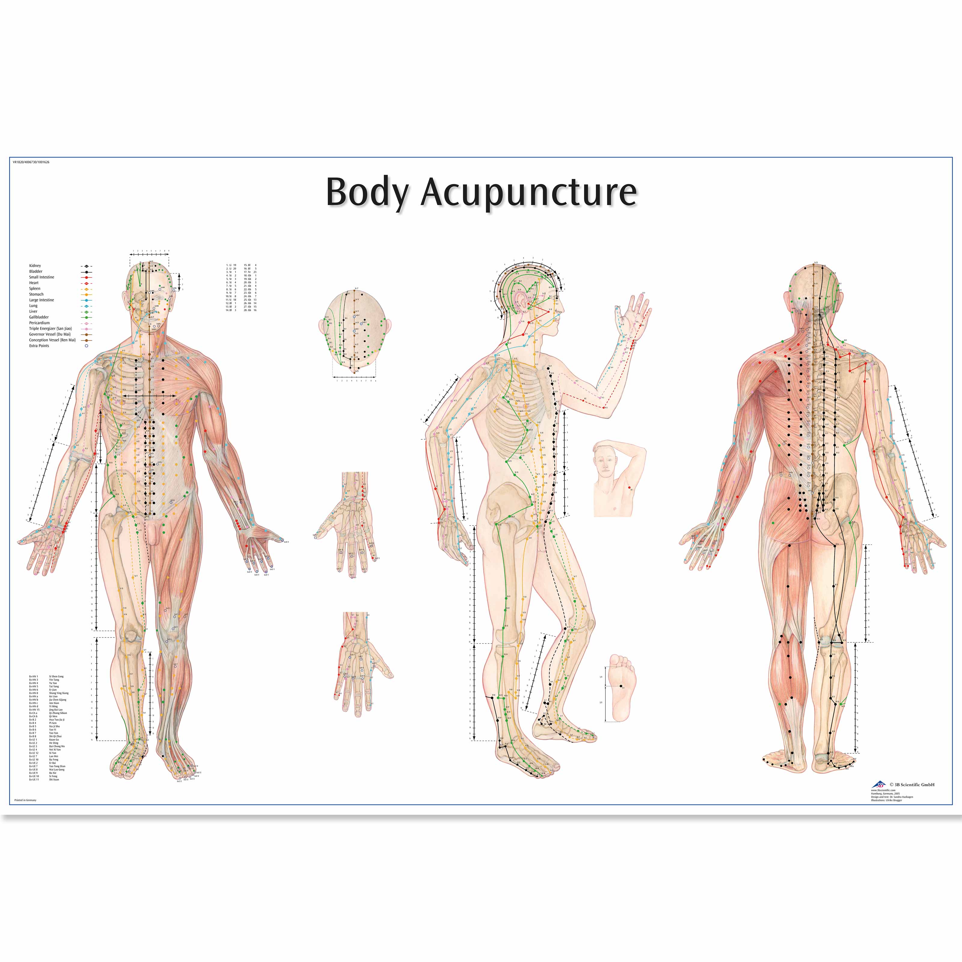 Acupuncture Chart Poster