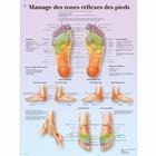 Massage des zones réflexes, 1001793 [VR2810L], Akupunktúra