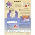 Lehrtafel - VIH y SIDA, 4006884 [VR3725UU], Sexualaufklärung