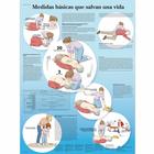 Lehrtafel - Medidas básicas que salvan, 1001949 [VR3770L], Notfall und Herz-Lungen-Reanimation
