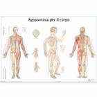 Agopuntura por il corpo, 4006982 [VR4820UU], Acupuncture Charts and Models