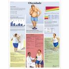 Obesidade, 1002171 [VR5460L], Sistema metabolico