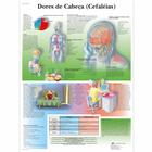 Dores de Cabeça, 1002193 [VR5714L], Gehirn und Nervensystem