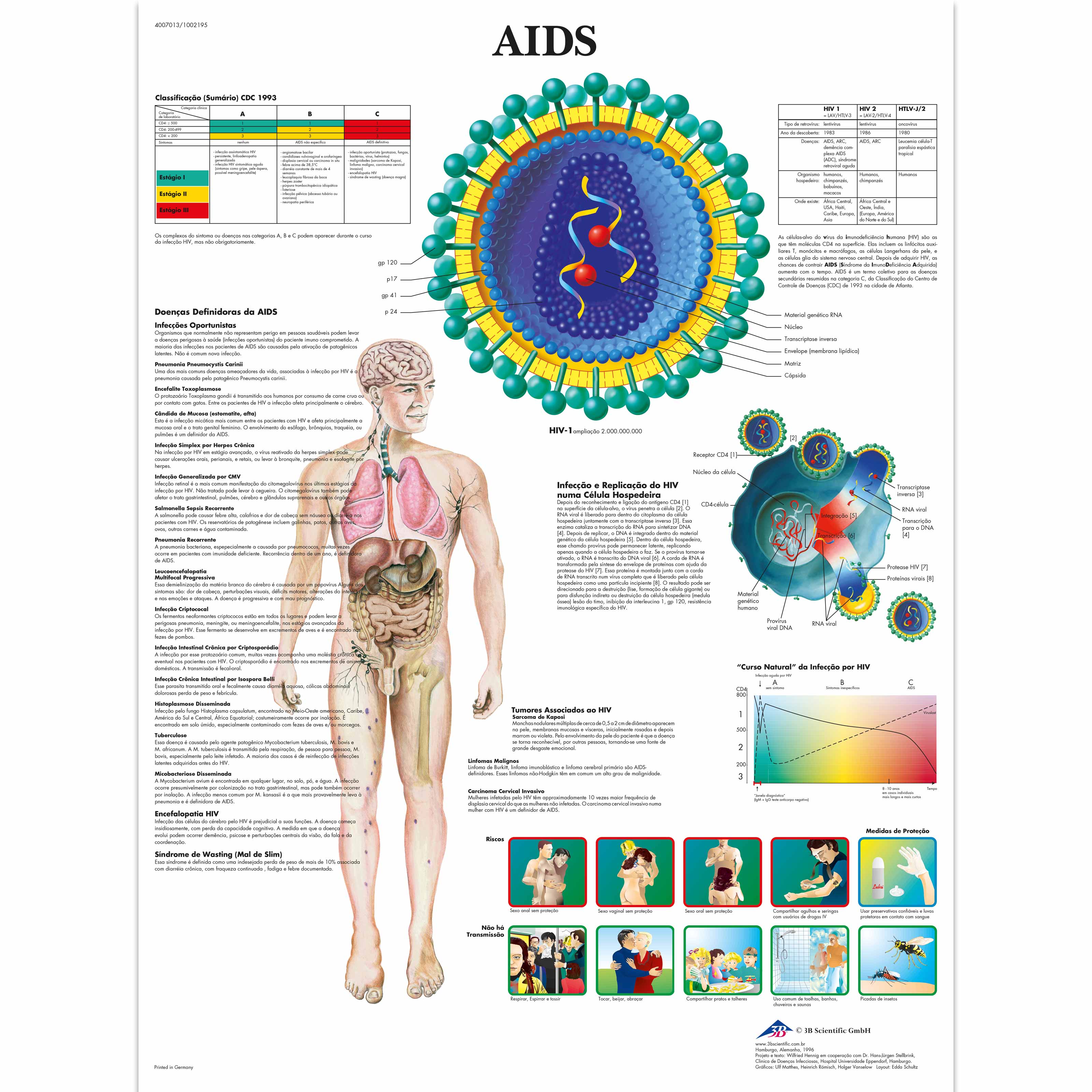 AIDS, 50x67 cm, Versao Papel | 4007013 | VR5727UU | Parasitic, Viral or ...