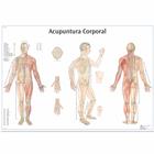 Acupuntura Corporal, 1002207 [VR5820L], Acupuncture Charts and Models
