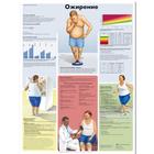 Медицинский плакат "Ожирение", 1002301 [VR6460L], Плакаты по метаболической системе