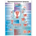 Birth Control Chart, 1002321 [VR6591L], Gynaecology