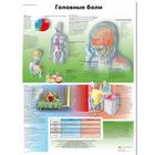 Медицинский плакат "Головные боли", 1002345 [VR6714L], Плакаты по мозгу и нервной системе