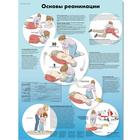 Медицинский плакат "Основы реанимации", 1002357 [VR6770L], Плакаты по основам реанимации