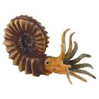 Ammonite, model, 1018515 [W12400], Fossils