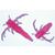 Crustacea - French, 1003860 [W13004F], 현미경 슬라이드 LIEDER (Small)