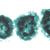 Algae - French, 1003889 [W13012F], 현미경 슬라이드 LIEDER (Small)