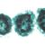 Algae - Spanish, 1003891 [W13012S], 显微镜载玻片 (Small)
