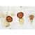 Champignons et Lichens, Fransızca (20'l), 1003893 [W13013F], Fransizca (Small)