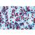 Покрытосеменные II. Клетки и ткани. На немецком языке, 1003908 [W13017], Микроскопы Слайды LIEDER (Small)