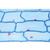 Angiospermae II. Cells and Tissues - German Slides, 1003908 [W13017], 显微镜载玻片 (Small)