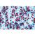 Покрытосеменные II. Клетки и ткани. Описание на французском языке, 1003909 [W13017F], Микроскопы Слайды LIEDER (Small)