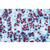 Angiospermas, Células e tecidos - Português, 1003910 [W13017P], Preparados para microscopia LIEDER (Small)