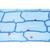 Растительная клетка. На французском языке, 1003937 [W13024F], Микроскопы Слайды LIEDER (Small)