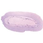 Cephalochordata (Acrania) - English Slides, 1003968 [W13038], 영어 (Small)