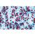 Angiospermae II. Hücre ve Dokular, İngilizce (20'li), 1003975 [W13046], Mikroskop Kaydırıcılar LIEDER (Small)