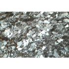 Thin Sections, Fossils and Meteorites, 1018505 [W13153], Petrography (Small)
