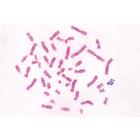 Series V. Genetics, Reproduction and Embryology - French, 1004067 [W13304F], French (Small)