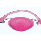 Histology of Mammalia, Supplementary Set - German Slides, 1004078 [W13307], German (Small)