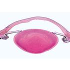Organes sensoriels - Français, 1004123 [W13318F], Préparations microscopiques LIEDER